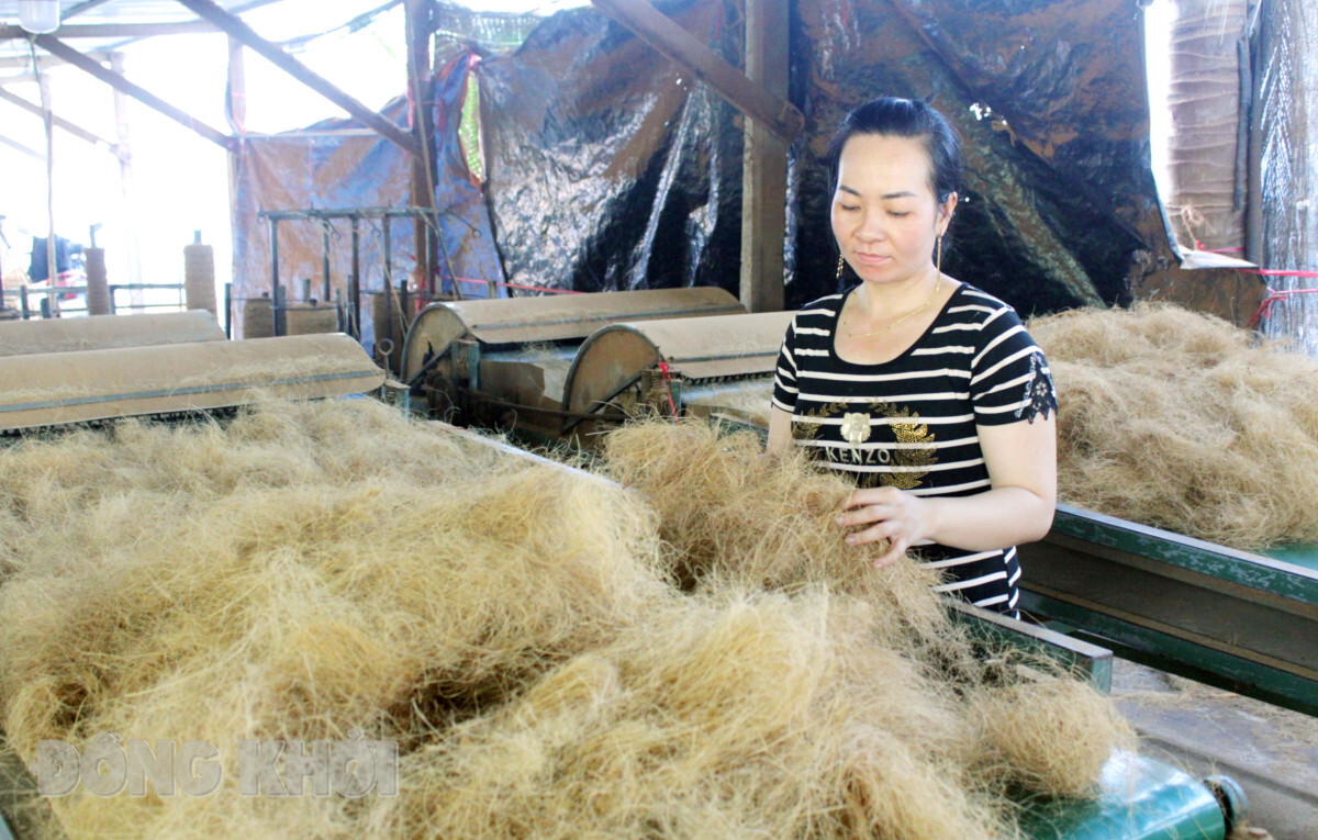 Phụ nữ Thành Thới A phát triển mô hình kinh tế '1 + 1'