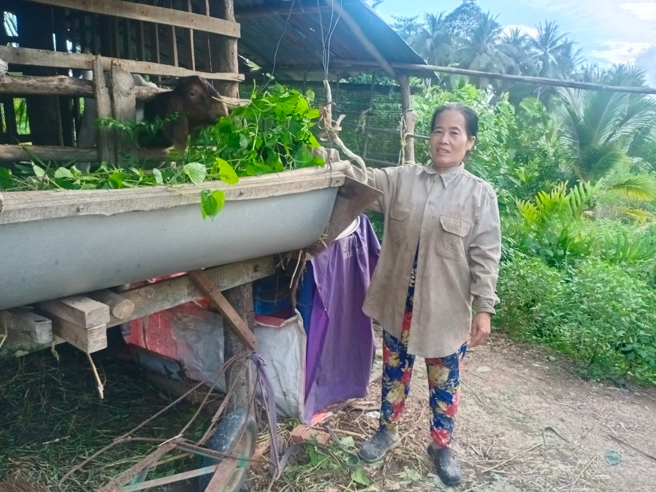 Thoát nghèo bền vững nhờ nguồn vốn vay Ngân hàng Chính sách xã hội