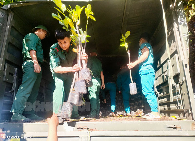 Bàn giao 3.720 cây giống cho hơn 60 hộ dân xã Đăk Long, huyện Đăk Glei, tỉnh Kon Tum